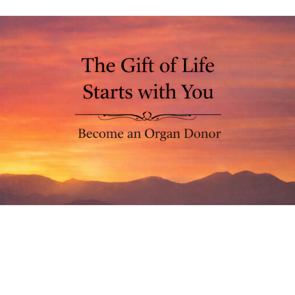 Judy's Kidney Journey